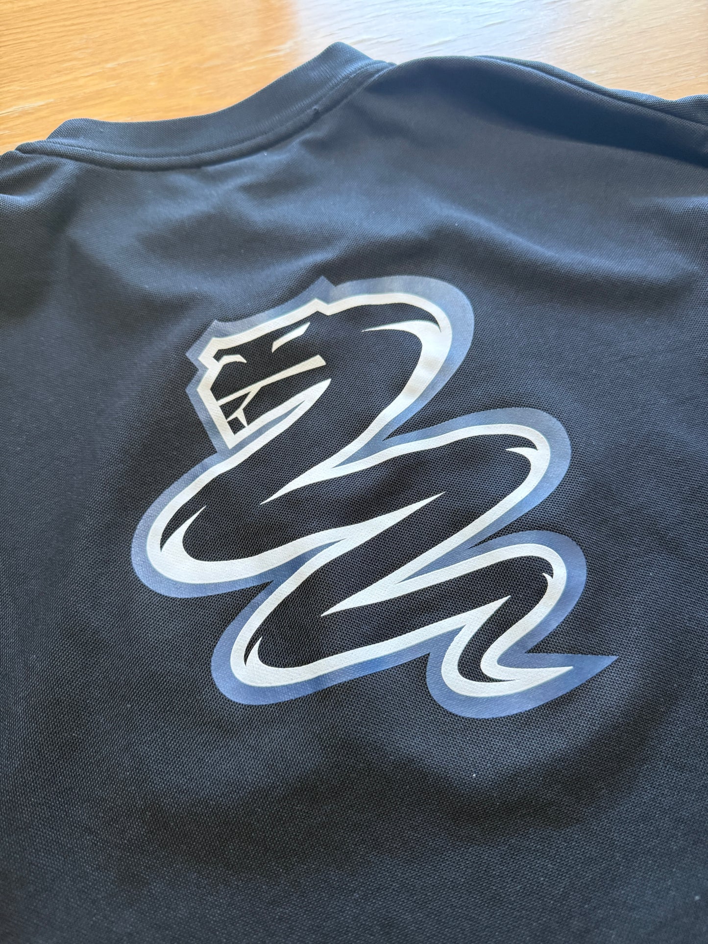 Inter Milan 2000/01 Training (XL)