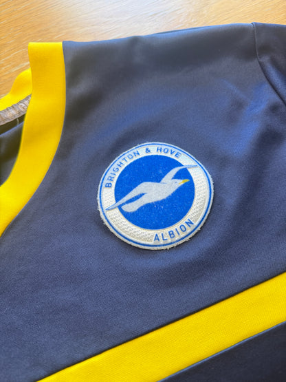 Brighton and Hove Albion 2010s Training (M)