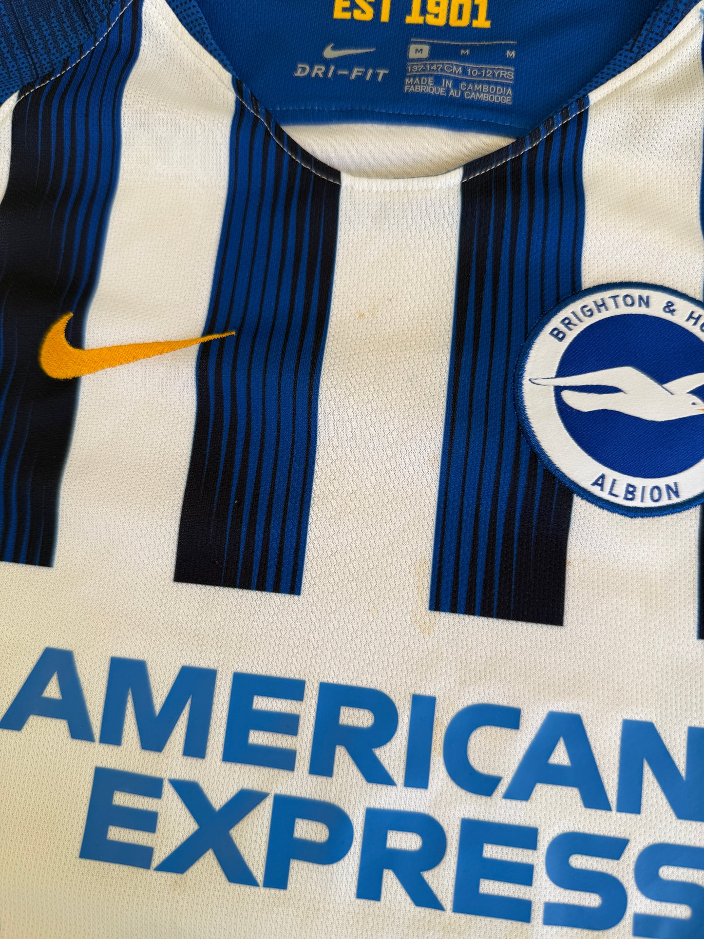 Brighton and Hove Albion 2019/20 Home (M Boys)